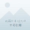 吸血姬的堕落后续