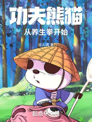 功夫熊猫的视频