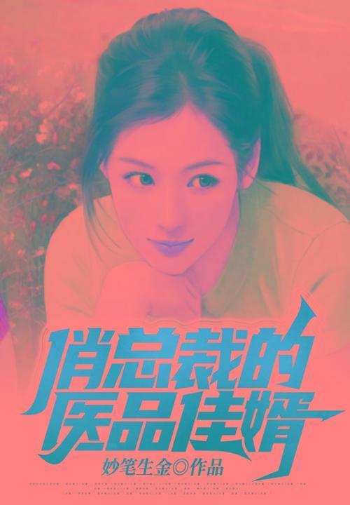 俏总裁的贴身夏天