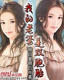 我的老婆是双胞胎无错版