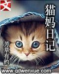 猫妈日记 微信