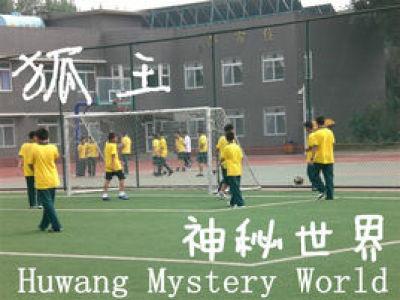 关于狐王的