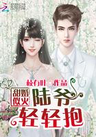 陆总轻宠小甜妻